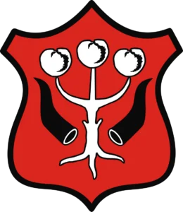 Pogotowie Informatyczne dla Powiatu Garwolińskiego 4 Miasto Garwolin